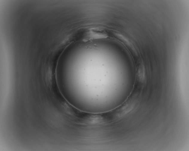 X0000113890424200909241421