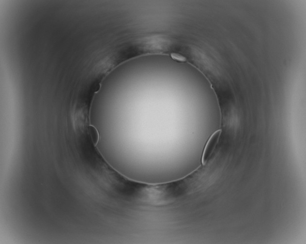 X0000113890425200909241421
