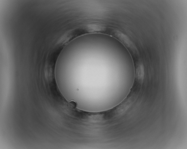 X0000113890426200909241421