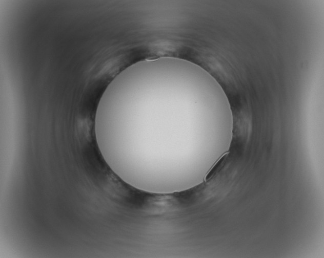 X0000113890427200909241421