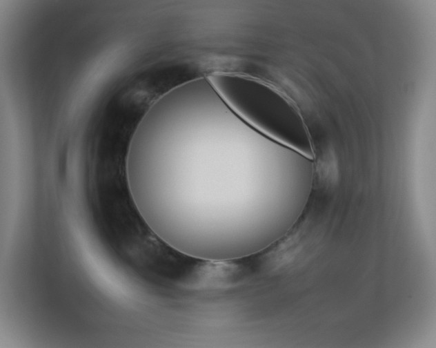 X0000113890429200909241421