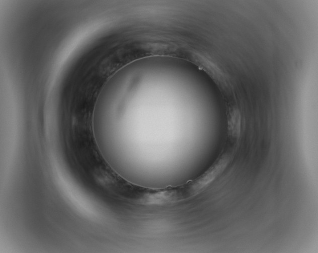 X0000113890430200909241421