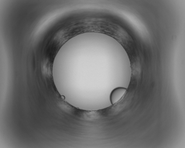 X0000113890431200909241421