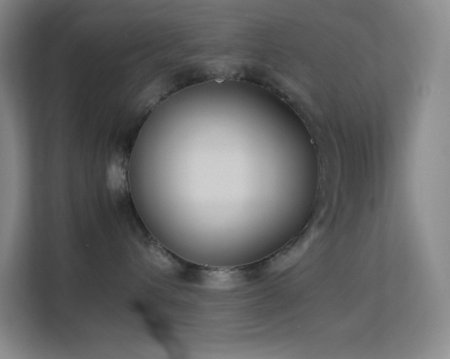 X0000113890432200909241421