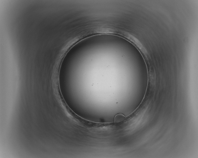 X0000113890433200909241420