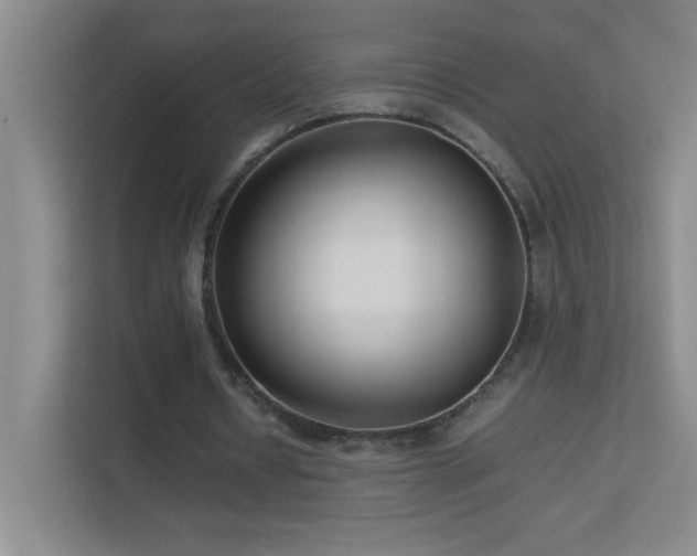 X0000113890434200909241420