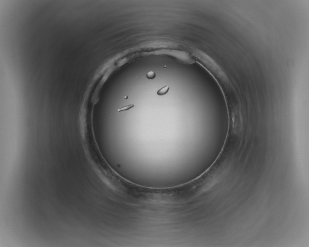 X0000113890436200909241420