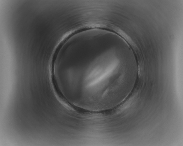 X0000113890438200909241420