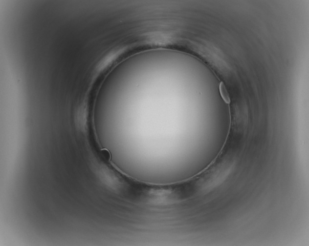 X0000113890440200909241420