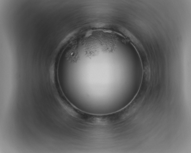 X0000113890442200909241420