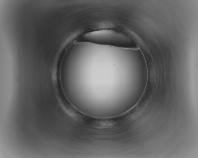 X0000113890443200909241420