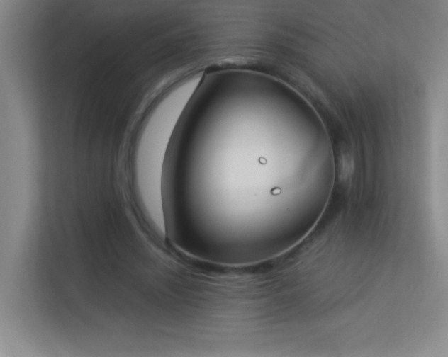 X0000113890444200909241420