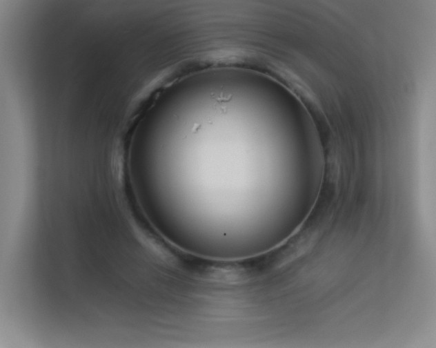 X0000113890446200909241420