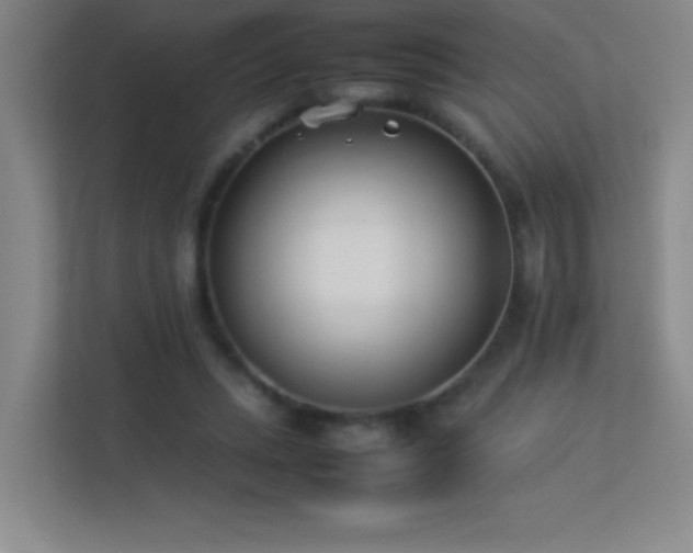 X0000113890447200909241420