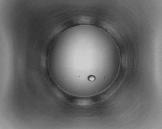 X0000113890449200909241420