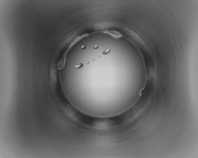 X0000113890452200909241420