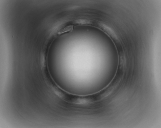 X0000113890453200909241420