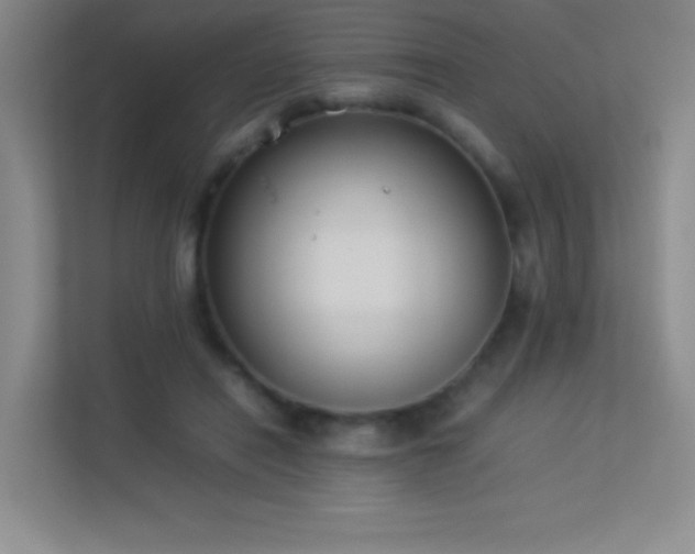 X0000113890454200909241420