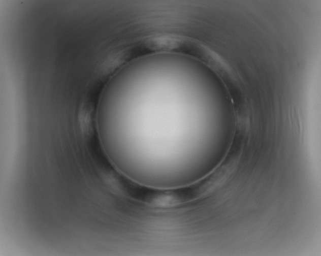 X0000113890460200909241420