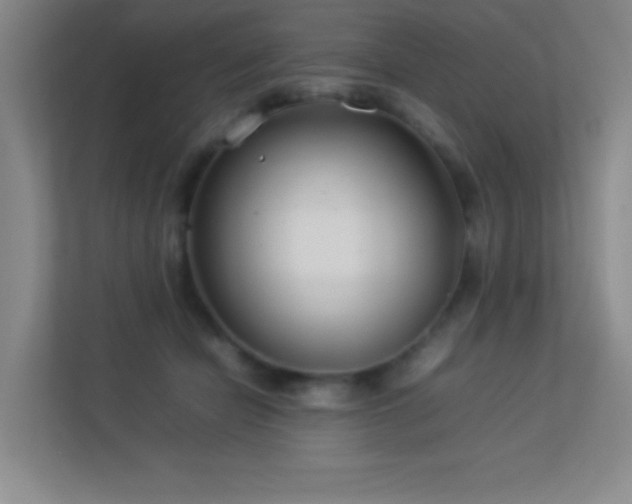 X0000113890462200909241420