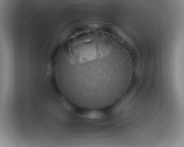 X0000113890467200909241420