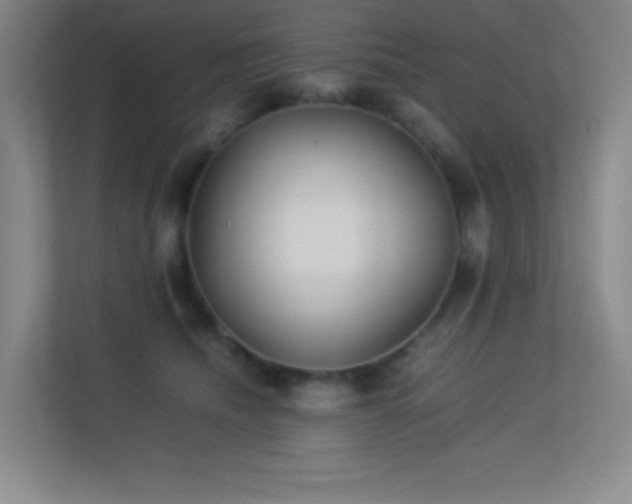 X0000113890468200909241421