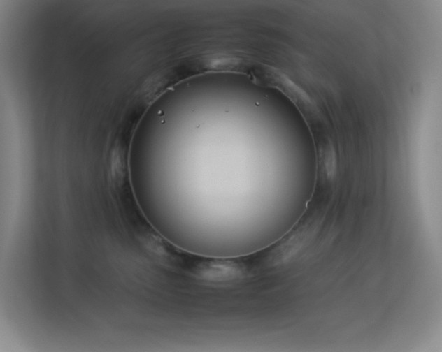 X0000113890475200909241421