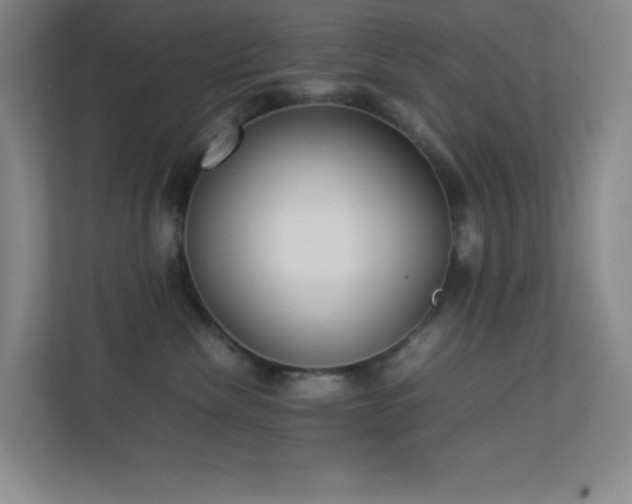 X0000113890476200909241421