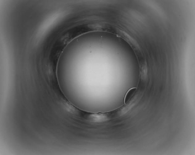X0000113890477200909241421