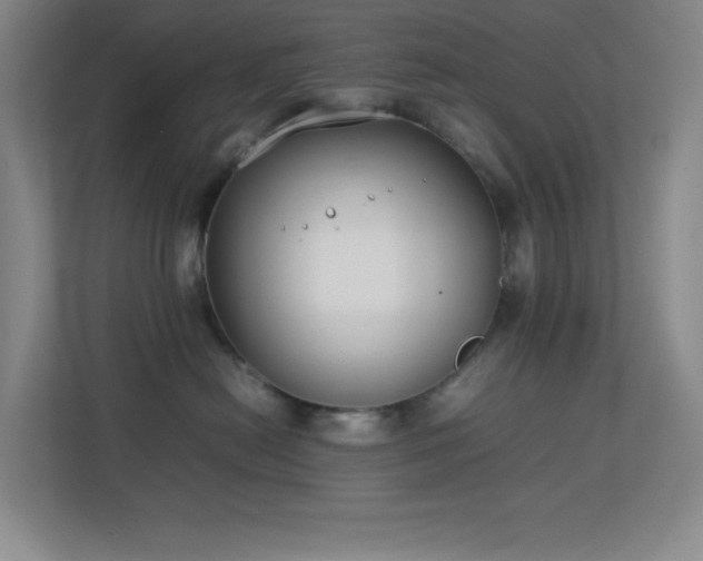 X0000113890478200909241421