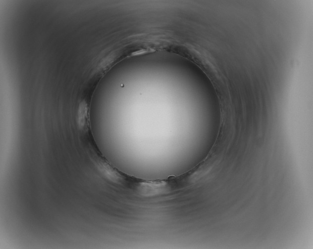 X0000113890480200909241421