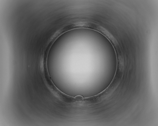 X0000113890482200909241420