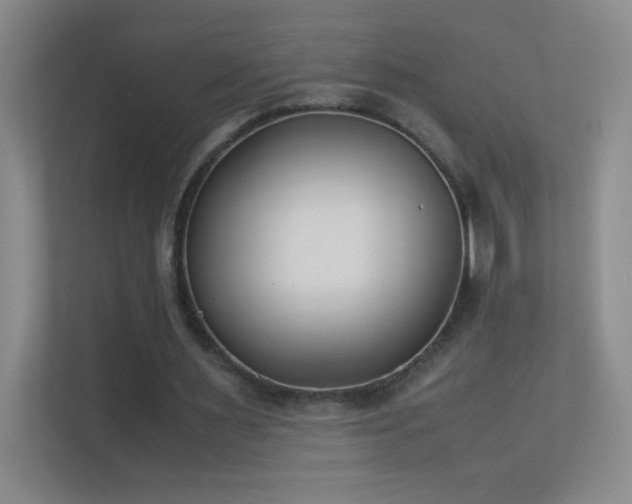 X0000113890483200909241420