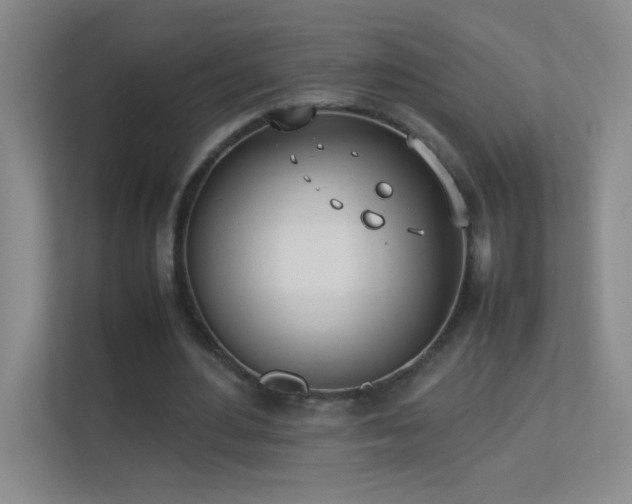 X0000113890484200909241420