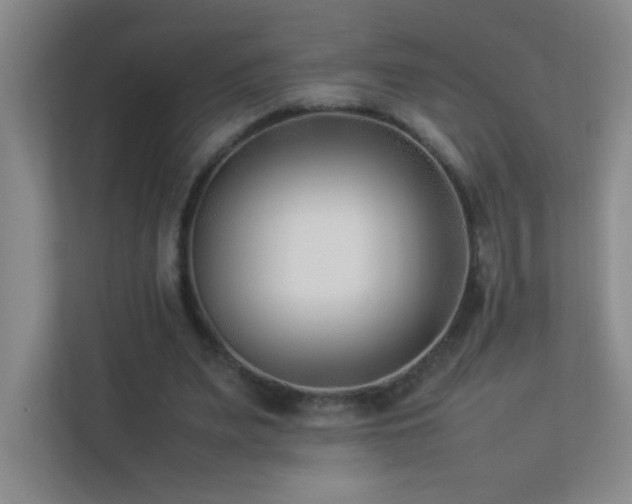 X0000113890487200909241420