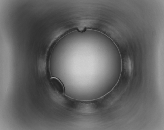 X0000113890488200909241420