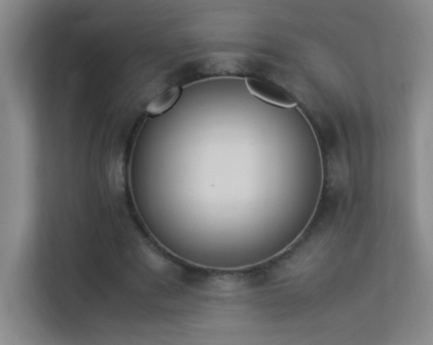 X0000113890489200909241420