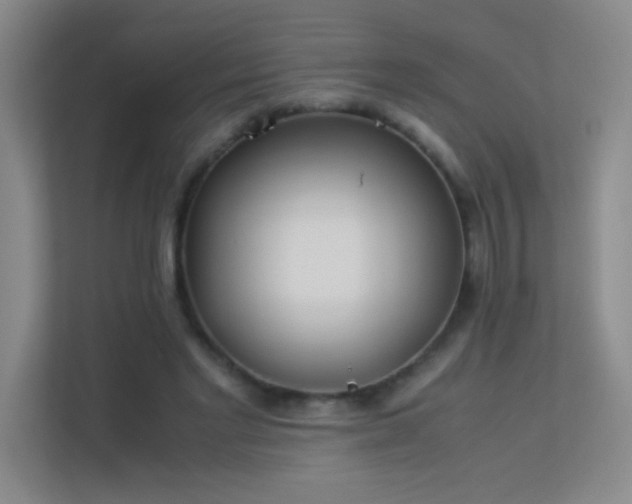 X0000113890493200909241420
