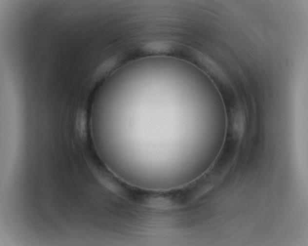 X0000113890494200909241420