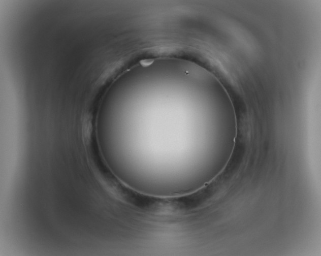 X0000113890495200909241420