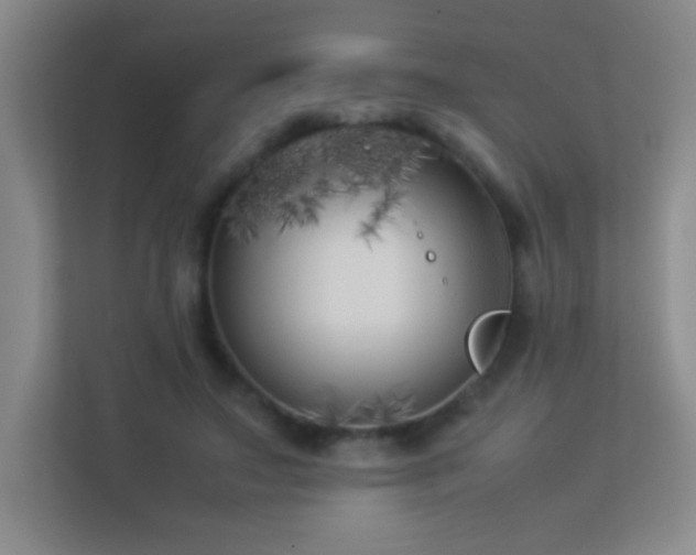 X0000113890499200909241420