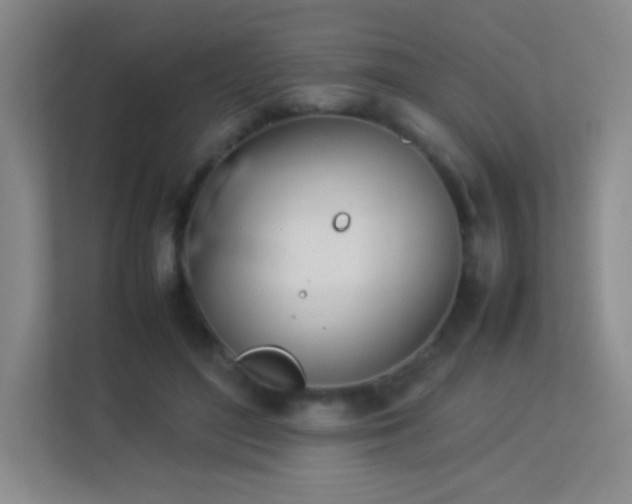 X0000113890500200909241420