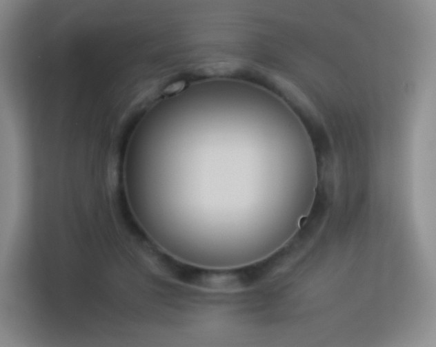 X0000113890501200909241420