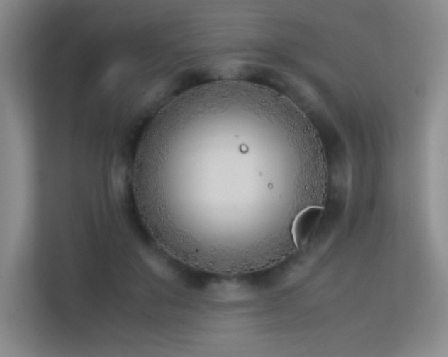 X0000113890503200909241420