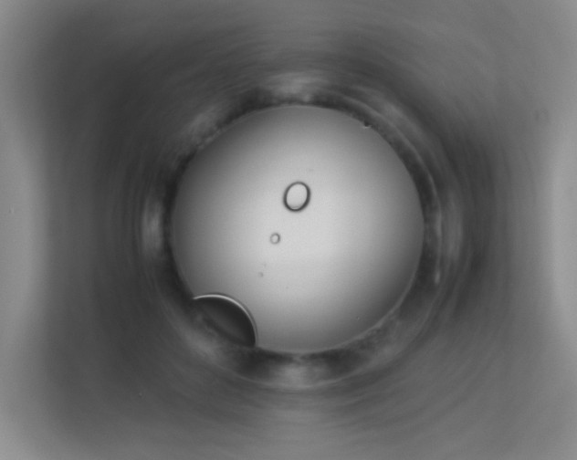 X0000113890504200909241420
