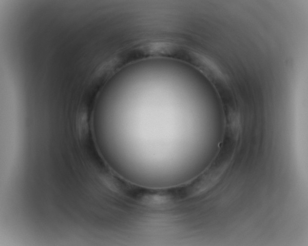 X0000113890506200909241420