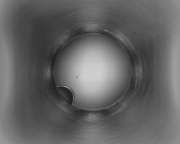 X0000113890508200909241420