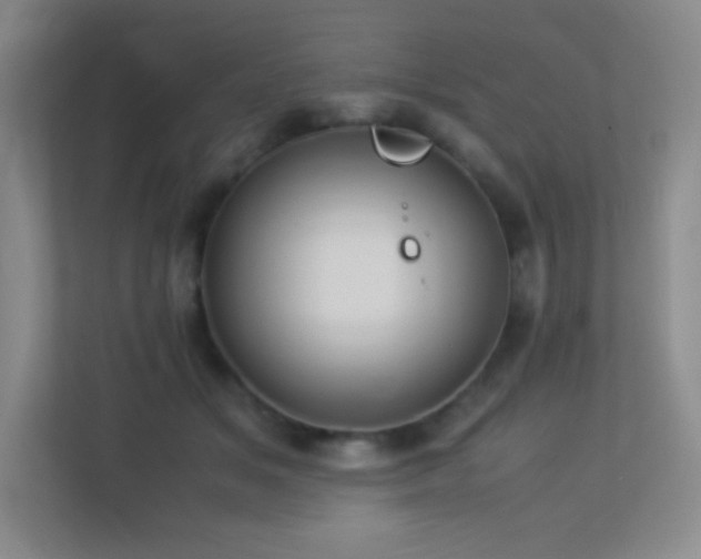 X0000113890509200909241420