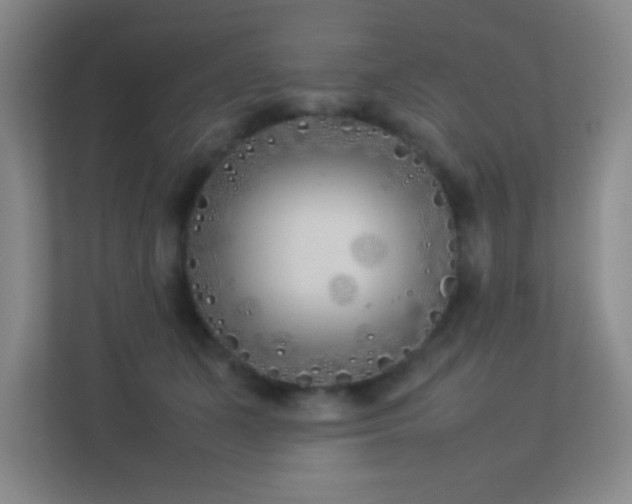 X0000113890511200909241420