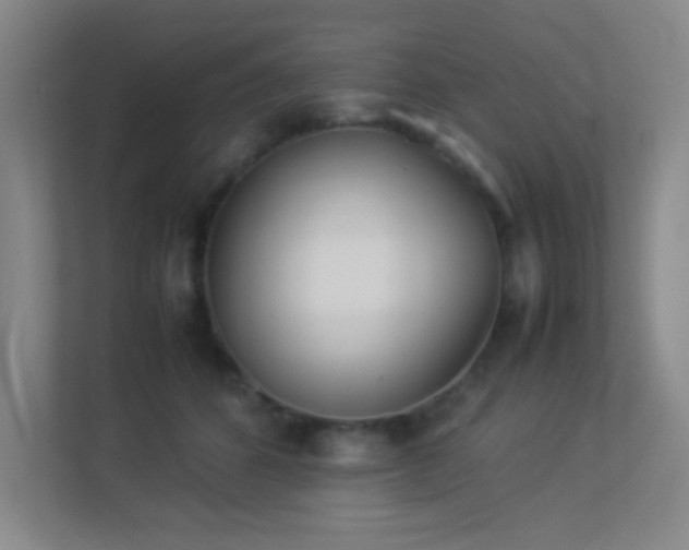 X0000113890512200909241420